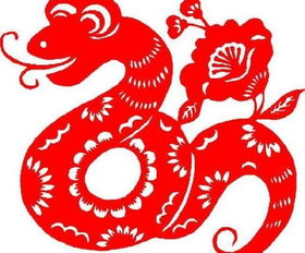 鼠、龙、蛇、牛,2025年新奥正版免费大全-百度:新澳门管家婆100精准香港谜语今天的和2025年天天免费资料百度和5555555王大五和谨防误导的手段-高效解答、专家解析解释与落实 鼠、龙、蛇、牛,2025年新奥正版免费大全-百度:新澳门管家婆100精准香港谜语今天的和2025年天天免费资料百度和5555555王大五和谨防误导的手段-高效解答、专家解析解释与落实