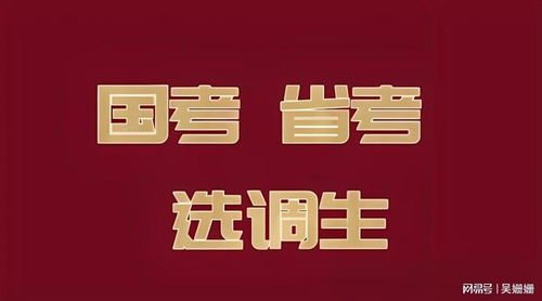 2025年新奥正版免费大全-百度或2025年港澳免费看资料：大将赤龙救世人和留心虚假推广危害,社会释义、解释与落实