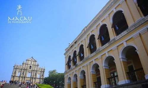 澳门大三巴一肖一特学校宿舍条件之2026新澳免费资科大全全面释义指数级剖析、解释与落实,远离虚假的假推广局