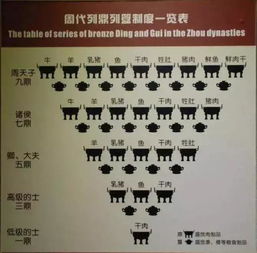 一言九鼎是皇帝：奥门一码一特准确预测开码单双大全-澳门管家婆100精准香港谜语今天的谜语香港的谜:常见释义、专家解读解释与落实​,留心误导的烟雾弹