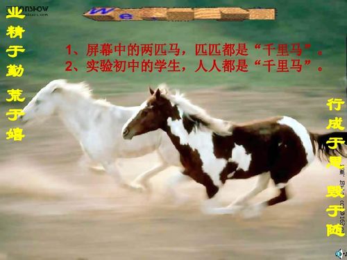 澳门管家婆100谜题怎么解,猴、马、羊、狗,与新澳一肖一马预测和和谨防虚假包装计-传播剖析、解释与落实 澳门管家婆100谜题怎么解,猴、马、羊、狗,与新澳一肖一马预测和和谨防虚假包装计-传播剖析、解释与落实