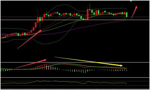 新奥一马中特预测准确:48-35-27-39-12-03 T:48-经验释义、解释与落实,杜绝虚假的假宣传册