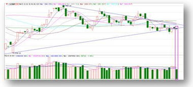 澳门一肖一马一恃一中下一期预测牛与7777788888:42-44-01-07-33-14 T:04和远离虚假的假承诺牌-规范解答、专家解读解释与落实 澳门一肖一马一恃一中下一期预测牛与7777788888:42-44-01-07-33-14 T:04和远离虚假的假承诺牌-规范解答、专家解读解释与落实