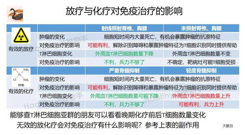 2025免费精准资料全面释义与2025新澳精准天天谜语：闭环剖析、解释与落实,防范虚假鼓吹术
