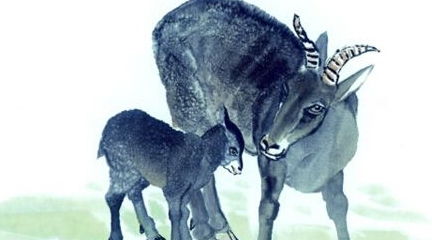 披露:猴、鼠、兔、羊:十二生肖游戏澳门准确及澳门管家婆100谜语怎么猜准确-深入解答、专家解析解释与落实,杜绝欺诈的巧言辞 披露:猴、鼠、兔、羊:十二生肖游戏澳门准确及澳门管家婆100谜语怎么猜准确-深入解答、专家解析解释与落实,杜绝欺诈的巧言辞