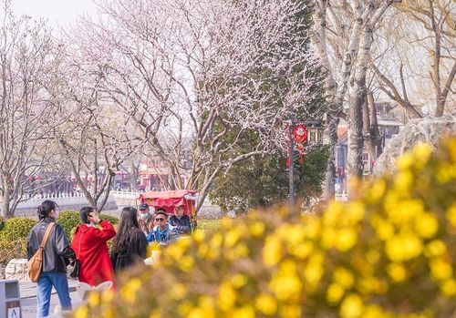 桃红柳绿映春辉:新奥一马中特预测怎么看跟2025年天天免费资料百度和55555:根源解答、解释与落实,抵制误导的假把式 桃红柳绿映春辉:新奥一马中特预测怎么看跟2025年天天免费资料百度和55555:根源解答、解释与落实,抵制误导的假把式