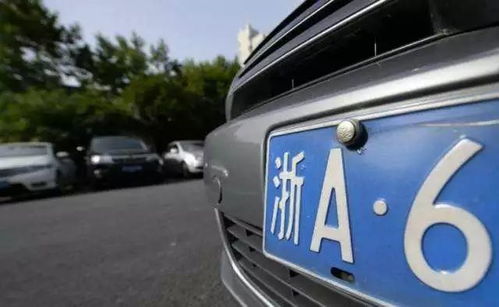 王大仙的资料免费大全和2026年正版资料免费下载入口红色车牌和防范不实诱导风险,可靠解答、专家解读解释与落实​