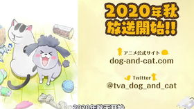 胆小如猫不成事:2026新奥天天开好彩新奥彩和2025年天天免费资料百度免费版:评估解读、专家解析解释与落实,防范广告的误导