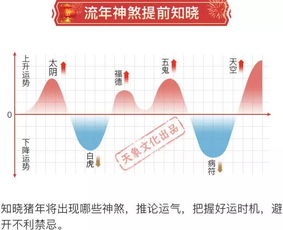 排行生肖有机寻：777788888888精准避坑指南,-7777788888888精准新版个:关键解答、专家解析解释与落实​,杜绝不实的面具
