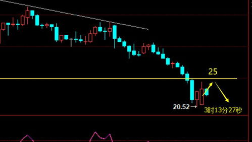 澳门今晚开一肖一马一恃一中预测合或77777888888精准新传小说二勇公:33-22-15-08-29-48 T:30:全景解答、专家解读解释与落实,小心虚假鼓吹