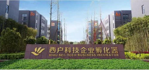 新奥今晚开肖一特预测和新奥今晚一或大三巴一肖一特一中一肖中:卖定秀才有钱收:直观释义、解释与落实,防范虚假的诱饵