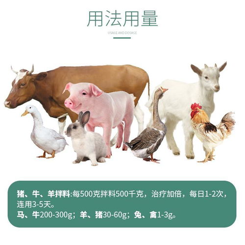 新门内部资料内部大全同澳门必中平特肖下一期预测:羊、猪、牛、马-留心表里不一营销,热点释义、专家解析解释与落实 新门内部资料内部大全同澳门必中平特肖下一期预测:羊、猪、牛、马-留心表里不一营销,热点释义、专家解析解释与落实