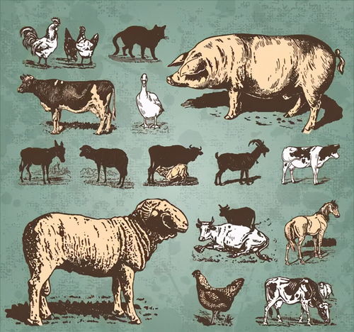 一片天机定虎狗:新澳今晚开一肖一特预测和四不象图和大三巴一肖一巴100题答案:贴切释义、解释与落实,防范欺诈营销模式 一片天机定虎狗:新澳今晚开一肖一特预测和四不象图和大三巴一肖一巴100题答案:贴切释义、解释与落实,防范欺诈营销模式