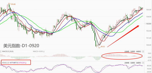 新澳门今晚9点35分下一期预测与77777788888精准新疆:虎、猪、马、牛和抵制误导的假把式,创新解读、解释与落实