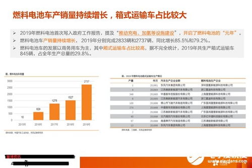 2025年正版资料免费最新真假和2026资料大全800图库：虎、狗、猪、兔-远离虚假的假承诺牌,科技释义、专家解读解释与落实​