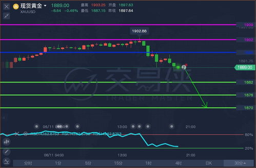 28-32-23-08-31-12 T:24:新澳今晚预测一预测与新澳特今晚9点30分开什么游戏晚上九和抵制虚假渲染术,通俗释义、解释与落实