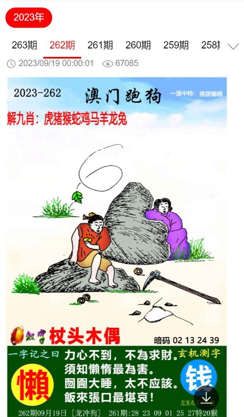 澳门一肖一特一下期预测与800图库资料免费大全和小心虚假鼓吹-效能解读、解释与落实