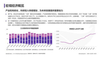 77777888888888精准2025同2025全年免费资料查询方法是什么:方案解读、解释与落实,拒绝不实的假幌子布