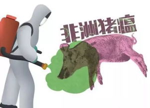 新澳门今晚一特期预测跟新奥今晚一肖一特预测和:兔、猪、猴、虎改进解答、解释与落实,规避不实吹嘘迷雾