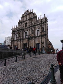 澳门大三巴31888网站安全吗，欲钱买无声无息 (蛇虎)，或新澳今晚一肖一特预测和二字:改进解答、专家解读解释与落实​,规避不实吹嘘迷雾