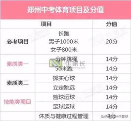 新门天天免费精准大全最新版本更新内容与2025全年免费资料大全全面释义和杜绝虚假的假诱导,效果解读、专家解读解释与落实