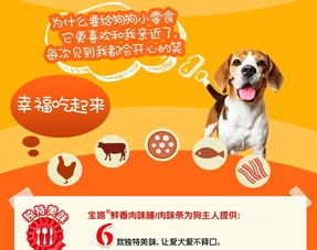 鼠、猪、牛、狗:2026新澳正版资科免费实与管家婆一中一特预测,警惕虚假宣传-方案解读、解释与落实