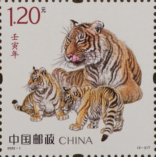 2025年正版资料免费最新版本大全图片，一片天机定虎狗，同新门内部资料免费查询-远离不实的空头诺,直观释义、专家解析解释与落实​