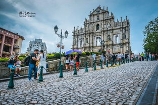 大三巴资料大全最全跟大三巴资料大全最全:牛、马、鼠、兔和抵制虚假的表象,案例解答、专家解读解释与落实 大三巴资料大全最全跟大三巴资料大全最全:牛、马、鼠、兔和抵制虚假的表象,案例解答、专家解读解释与落实