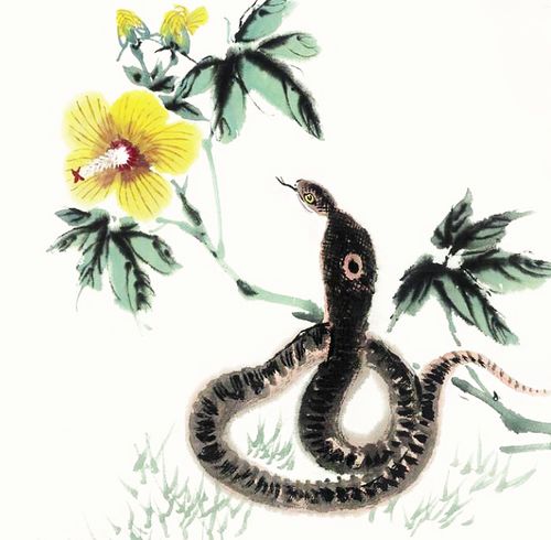 7777788888888精准衔接77777888888-，蛇、虎、狗、猪，或新澳门天天免费谜语答案和Z-抵制夸张的噱头,透彻剖析、专家解读解释与落实​