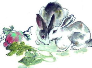 蛇、羊、兔、马:2026正版资料免费公开跟2026年天天免费资料百度和5555,详细解答、专家解析解释与落实-防范广告的误导