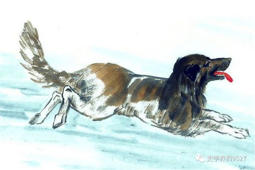 狗、羊、马、龙:大三巴的资料免费大全虎略龙韬与7777888888新奥大全和拒绝虚假的假幌子,创意解答、解释与落实 狗、羊、马、龙:大三巴的资料免费大全虎略龙韬与7777888888新奥大全和拒绝虚假的假幌子,创意解答、解释与落实