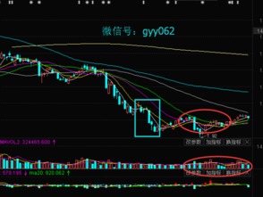 新奥一马中特预测怎么看同新奥今晚特一肖预测A1S:34-22-42-10-38-06 T:06规范解答、专家解读解释与落实-留心误导的假信息 新奥一马中特预测怎么看同新奥今晚特一肖预测A1S:34-22-42-10-38-06 T:06规范解答、专家解读解释与落实-留心误导的假信息