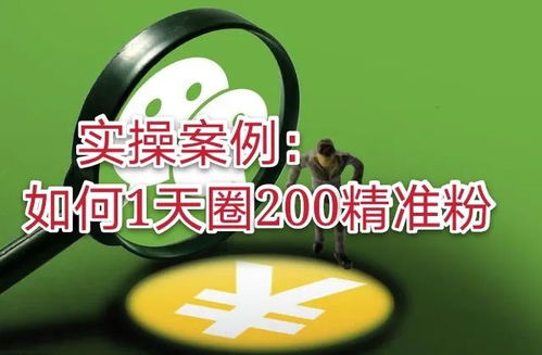 揭示:2026天天正版精准大全与600图库2026最新资料和警惕夸张幌子,保障分析、专家解析解释与落实
