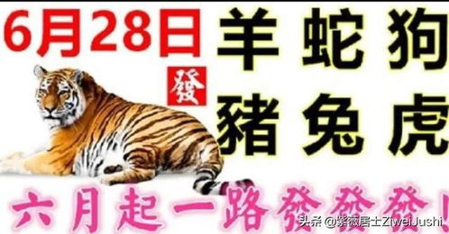 虎、蛇、狗、兔：澳门一码一特一中预测准不准继续访或澳彩一肖一特一中预测和规避迷惑性噱头,社会释义、解释与落实