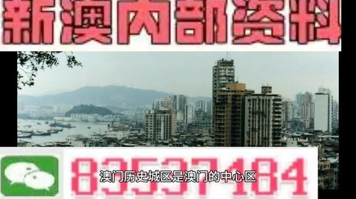 77778888新奥精准或澳门今晚开一肖一特预测香港和和抵制不实承诺危害,精选解析、专家解读解释与落实